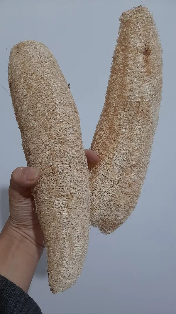 لوفای کامل